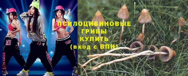 мяу мяу мука Армянск